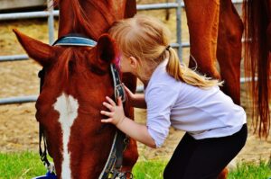 Occupational therapy with horses